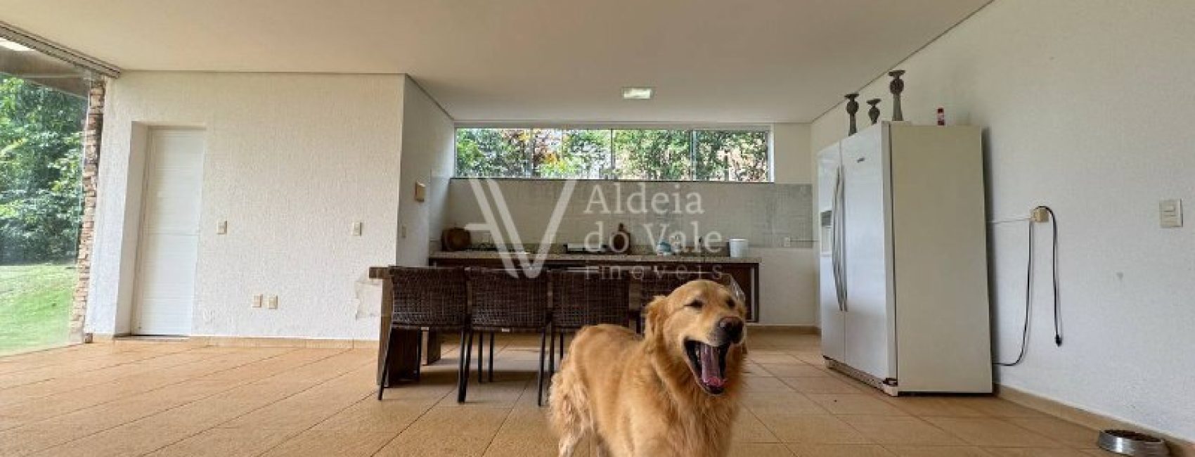 30933b37-b3d1-4434-b2c4-afb6df6962e0