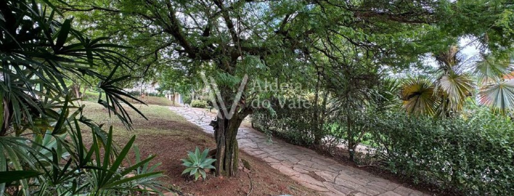 513ae04a-fc20-4d3e-9fdc-556ecd4b1684