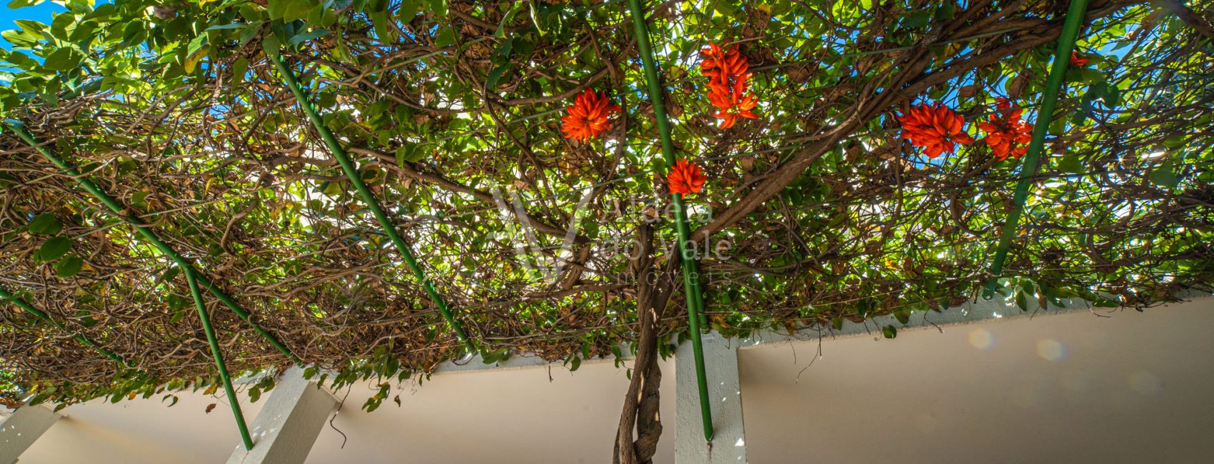 AldeiadoValeImoveis-40