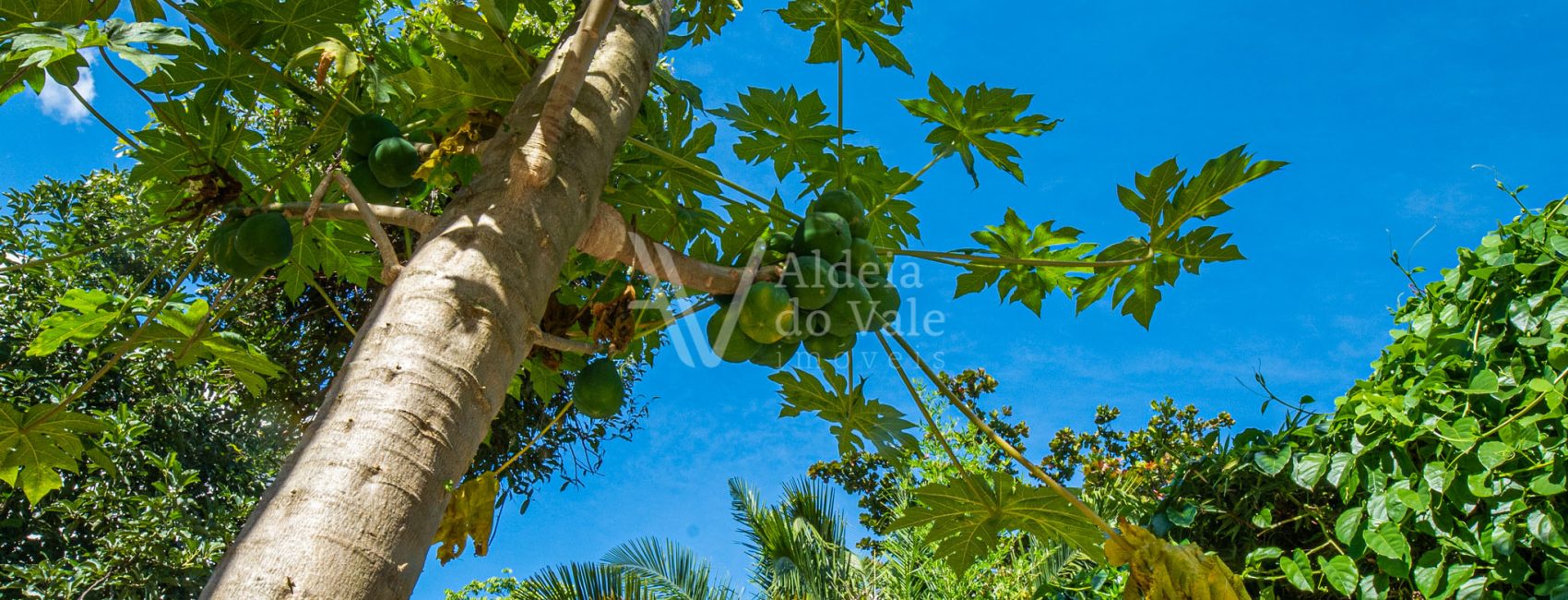 AldeiadoValeImoveis-59