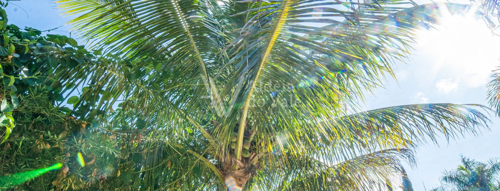 AldeiadoValeImoveis-60