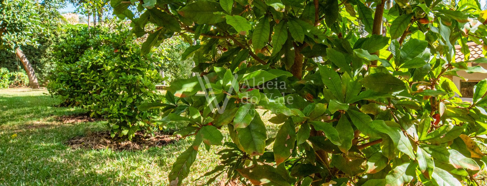 AldeiadoValeImoveis-62