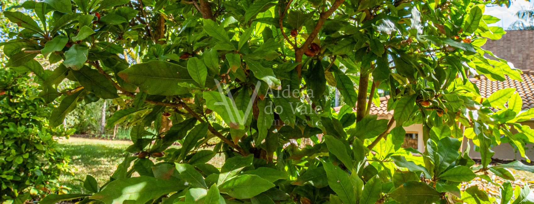 AldeiadoValeImoveis-63