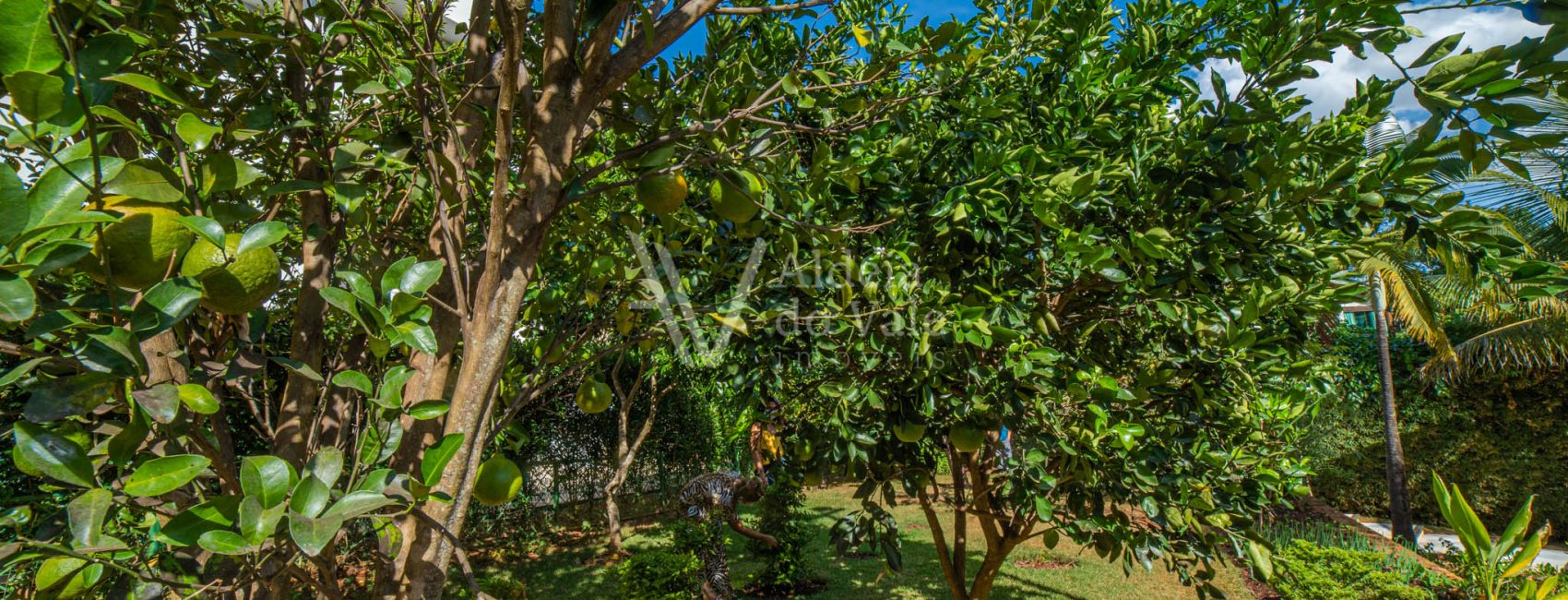 AldeiadoValeImoveis-65