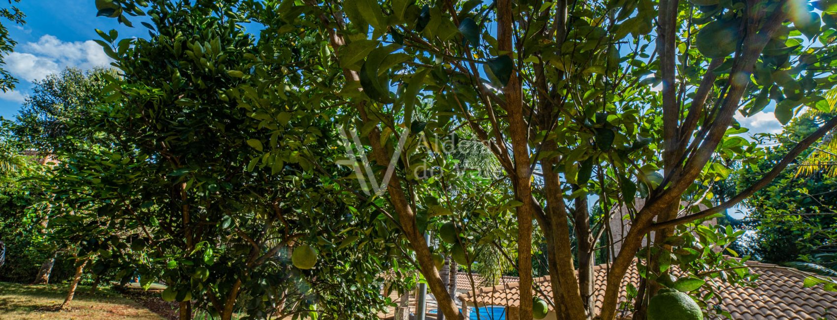 AldeiadoValeImoveis-66