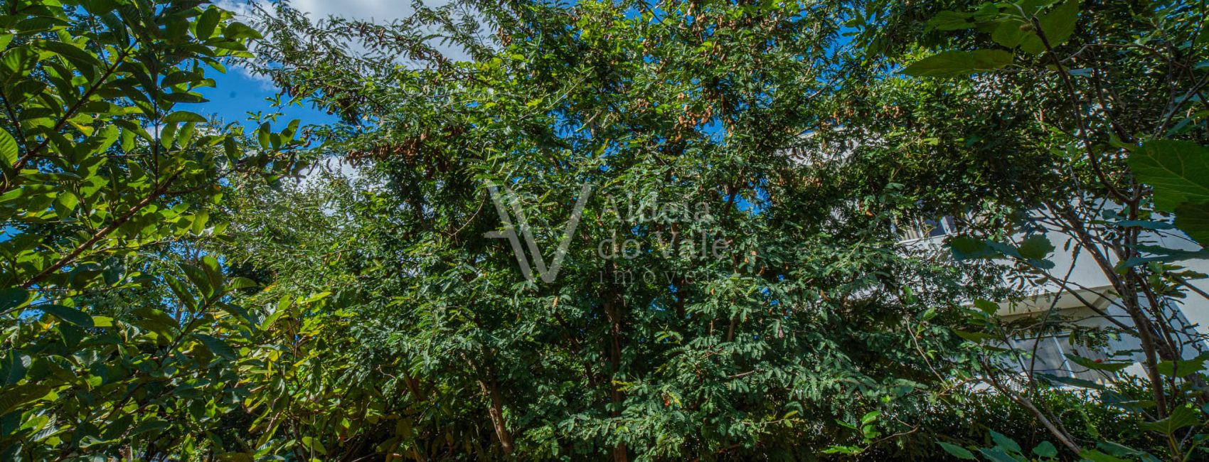 AldeiadoValeImoveis-68