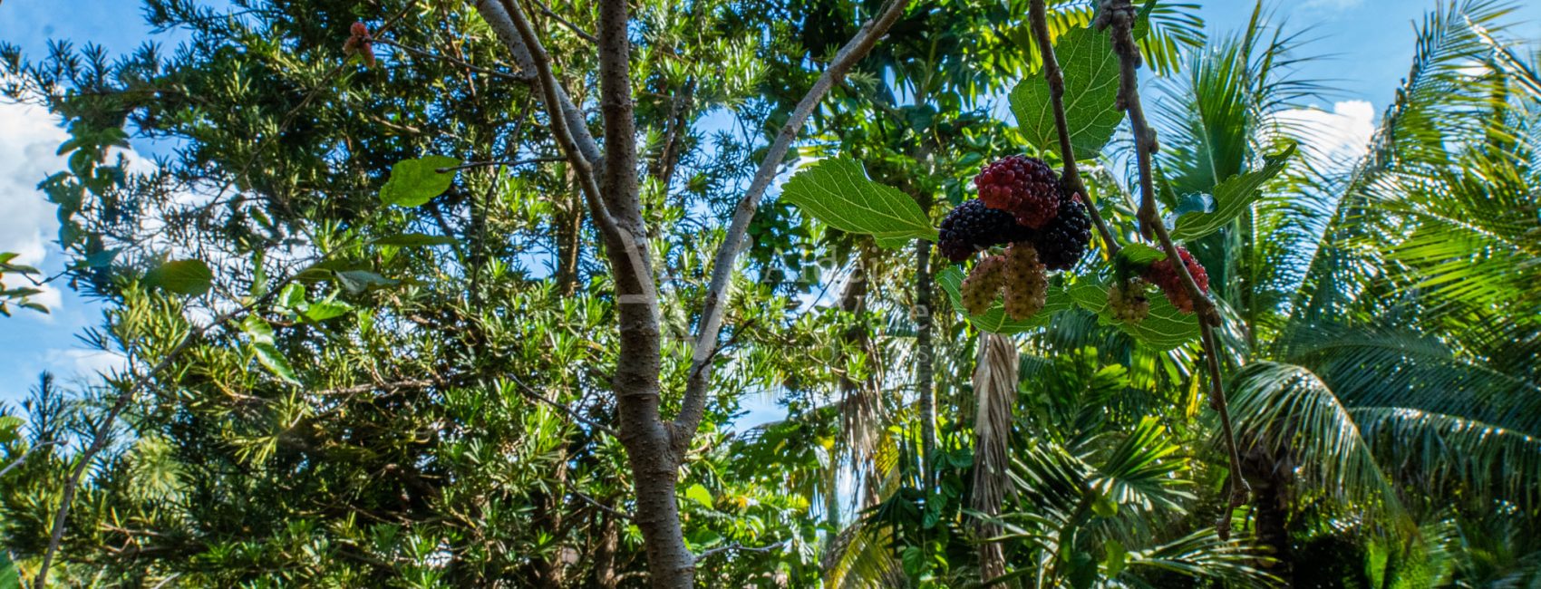 AldeiadoValeImoveis-69