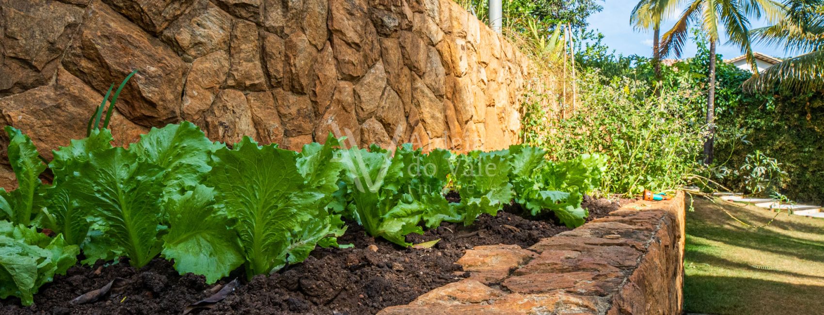 AldeiadoValeImoveis-70