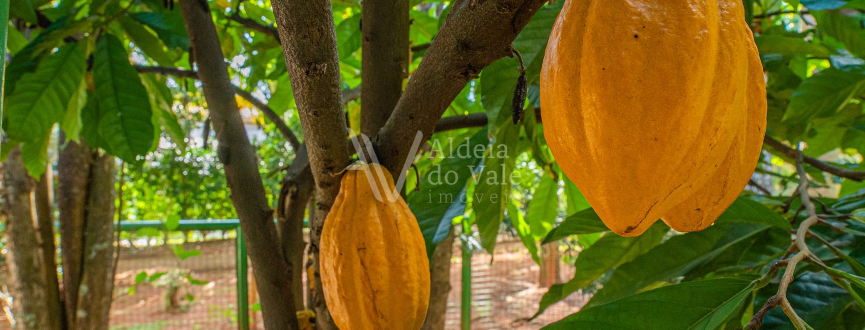 AldeiadoValeImoveis-71