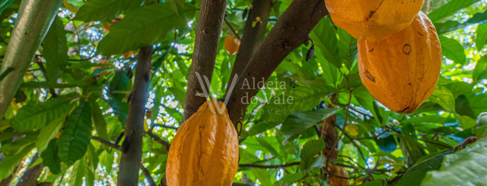 AldeiadoValeImoveis-72