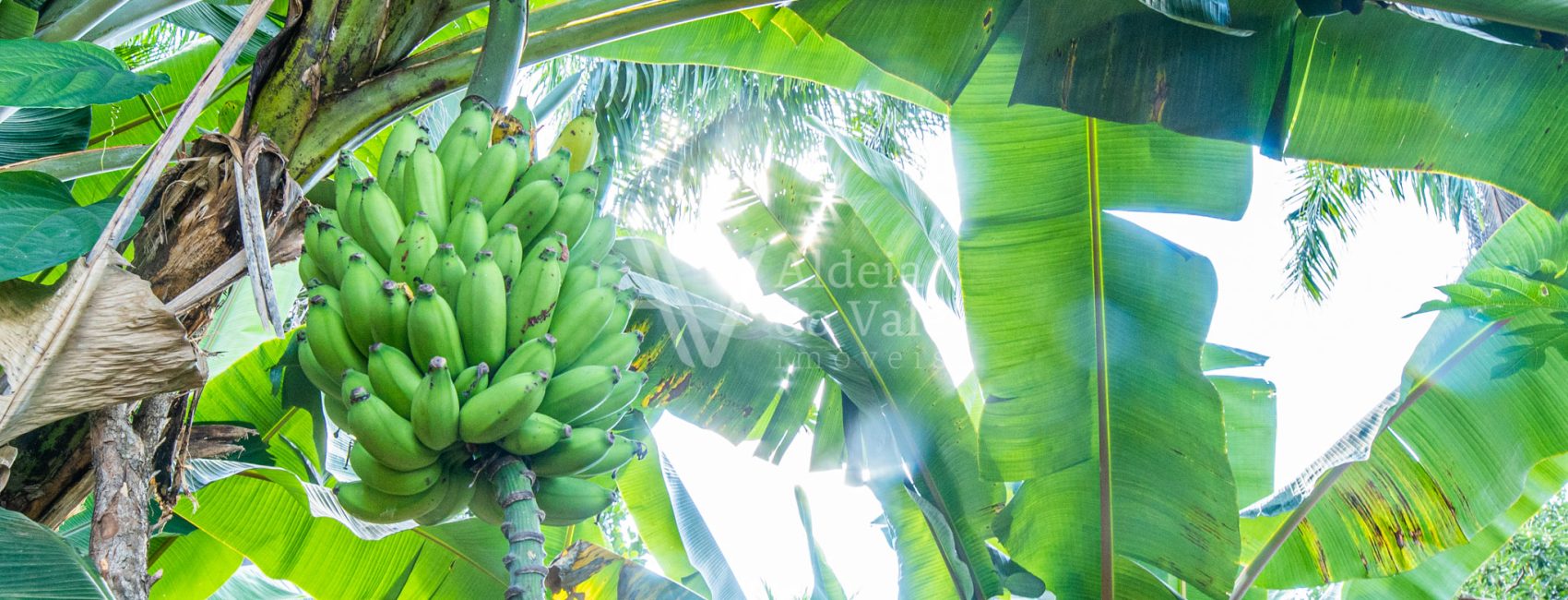 AldeiadoValeImoveis-74