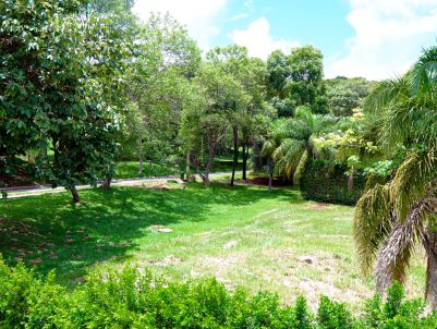 Lote 06