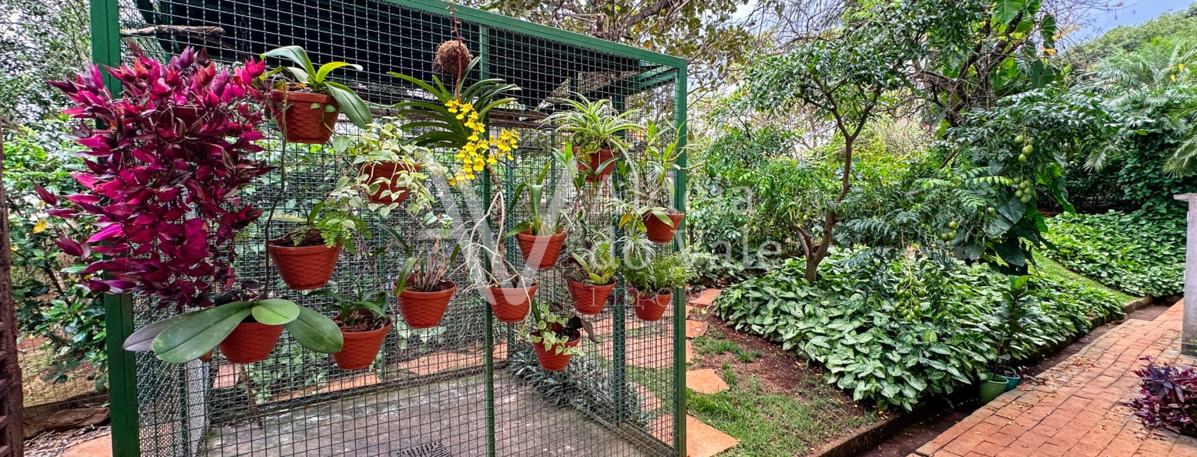 Sem título (21 de 78)