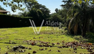 WhatsApp-Image-2024-12-23-at-15.19.56-scaled-1920x822