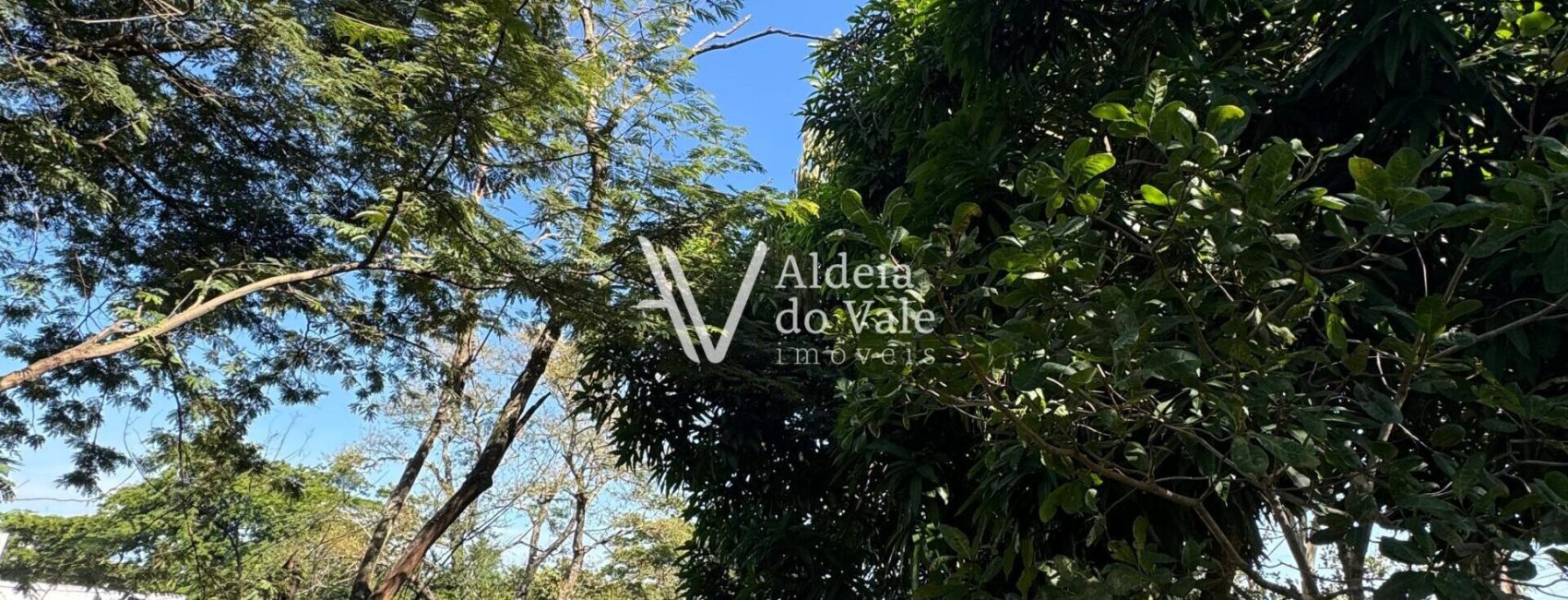 WhatsApp-Image-2025-03-30-at-09.41.55-scaled-1920x822