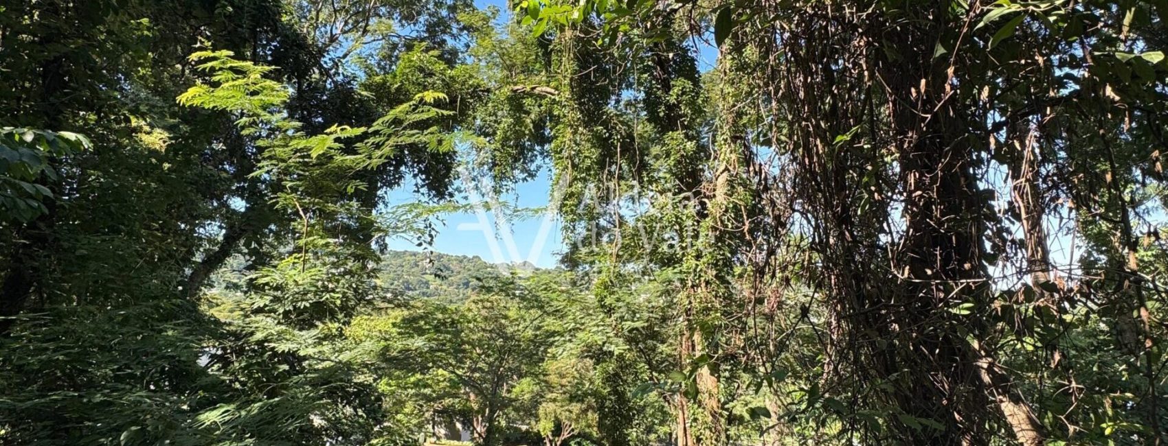 WhatsApp-Image-2025-03-30-at-09.51.25-1-scaled-1920x822