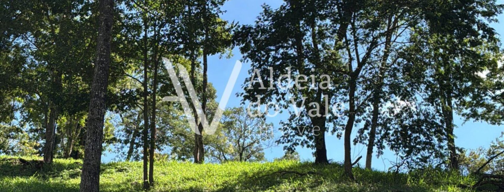 WhatsApp-Image-2025-03-30-at-11.09.28-scaled-1920x822 (1)