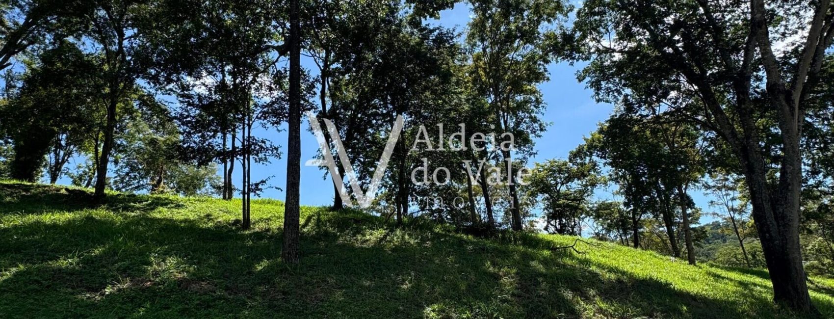 WhatsApp-Image-2025-03-30-at-11.09.29-scaled-1920x822