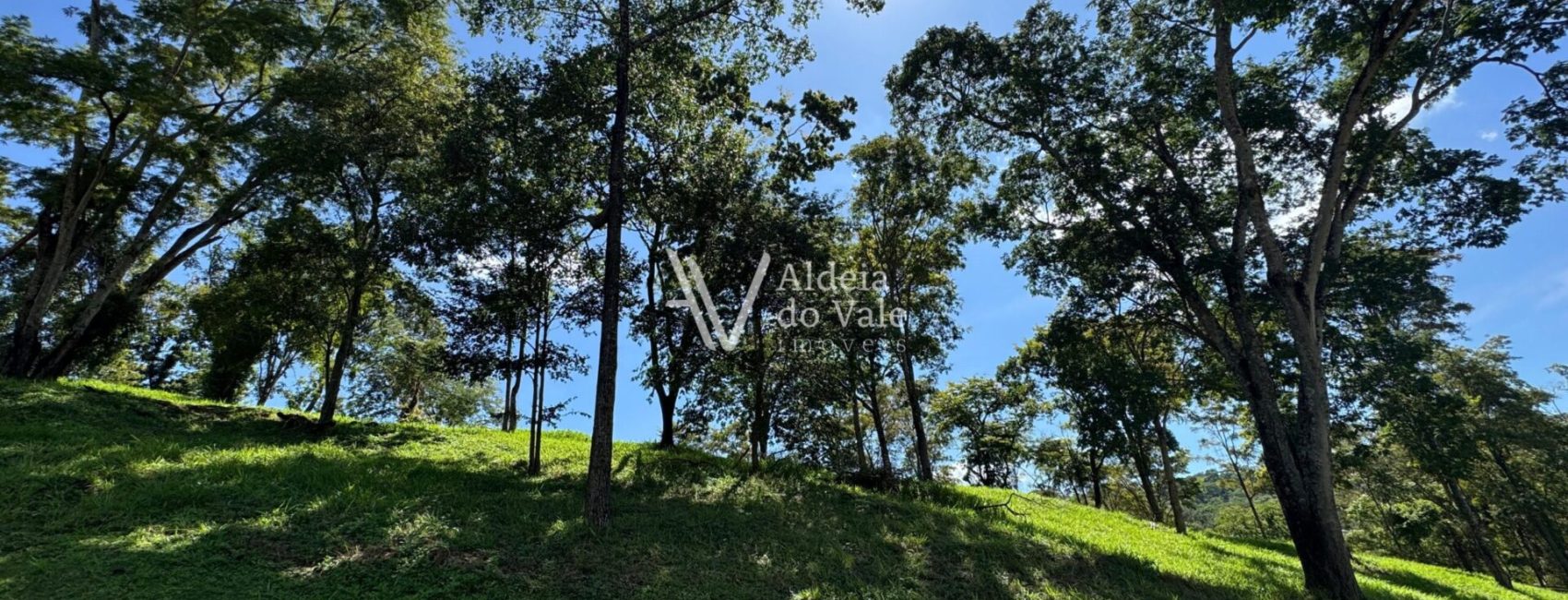 WhatsApp-Image-2025-03-30-at-11.09.30-scaled-1920x822