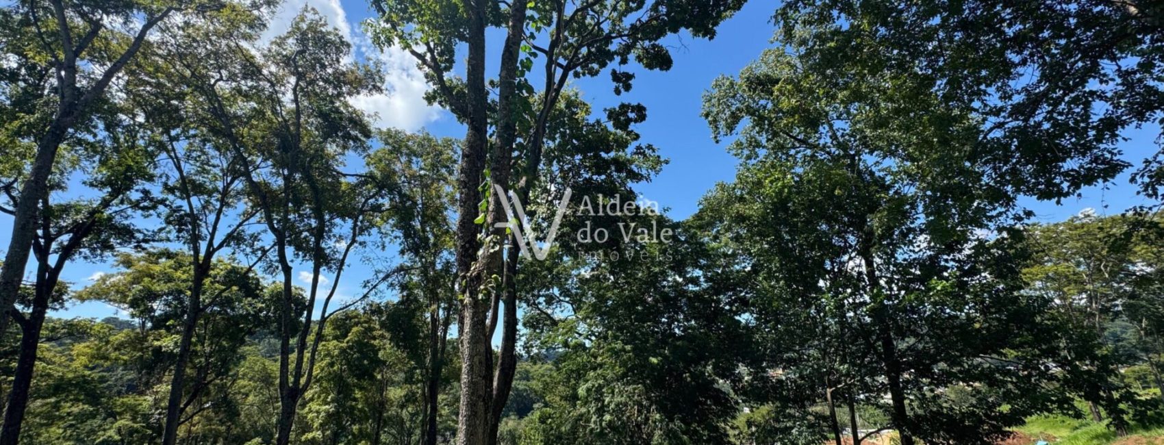 WhatsApp-Image-2025-03-30-at-11.09.32-1-scaled-1920x822