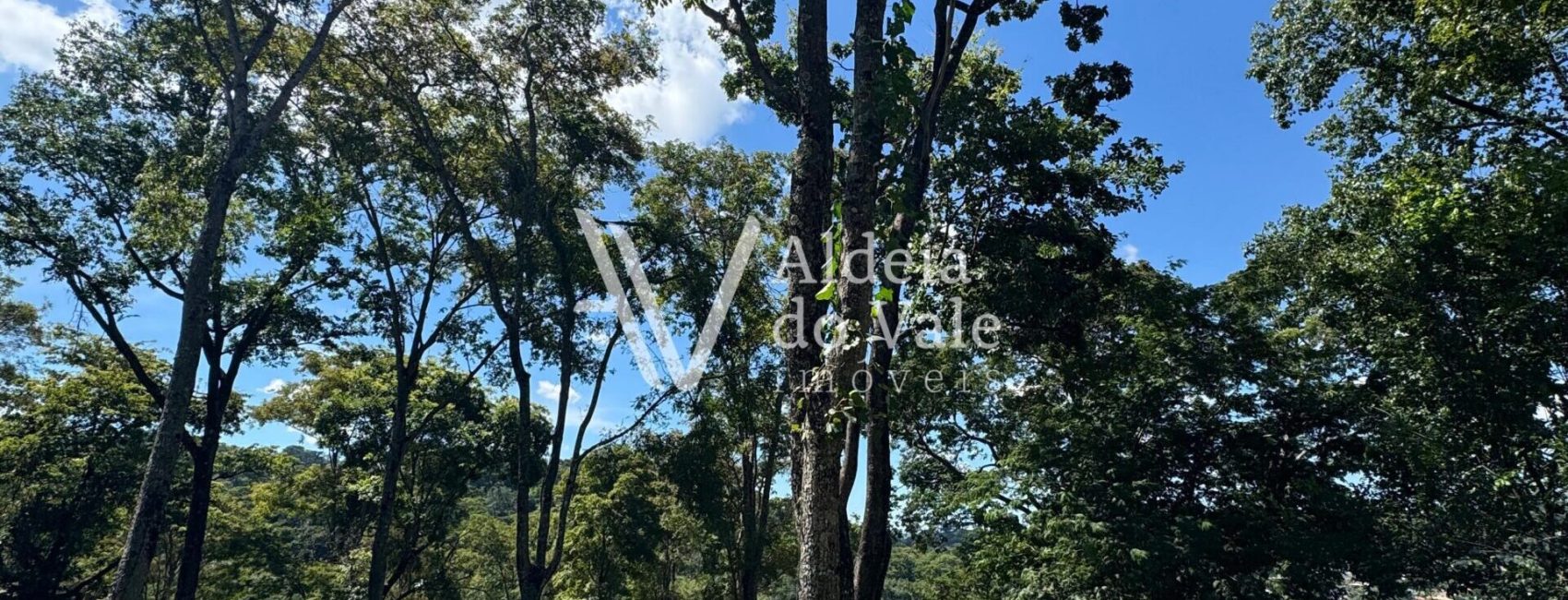 WhatsApp-Image-2025-03-30-at-11.09.32-scaled-1920x822