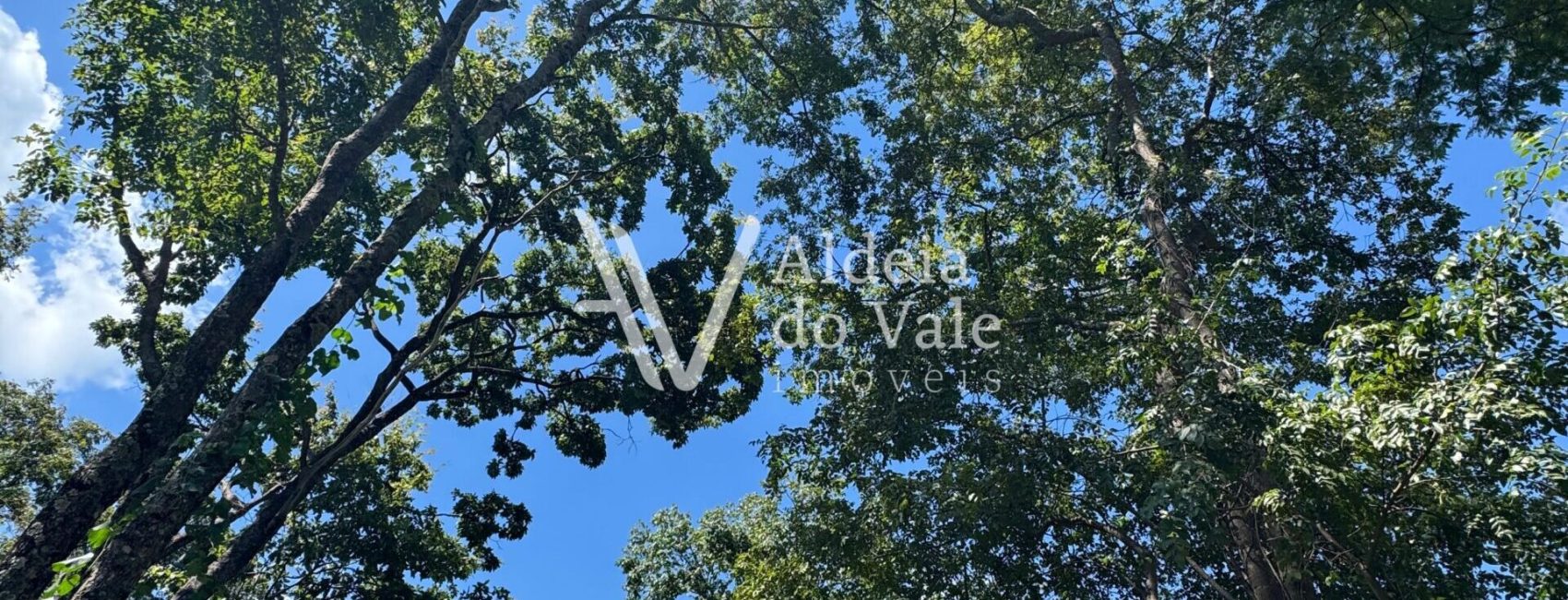 WhatsApp-Image-2025-03-30-at-11.09.33-1-scaled-1920x822