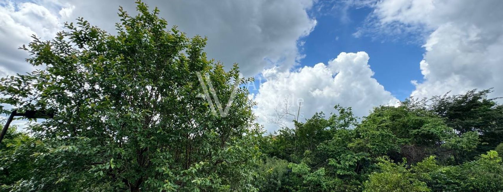 fd05fb5e-2a1b-4feb-b3de-03898bf46bf5