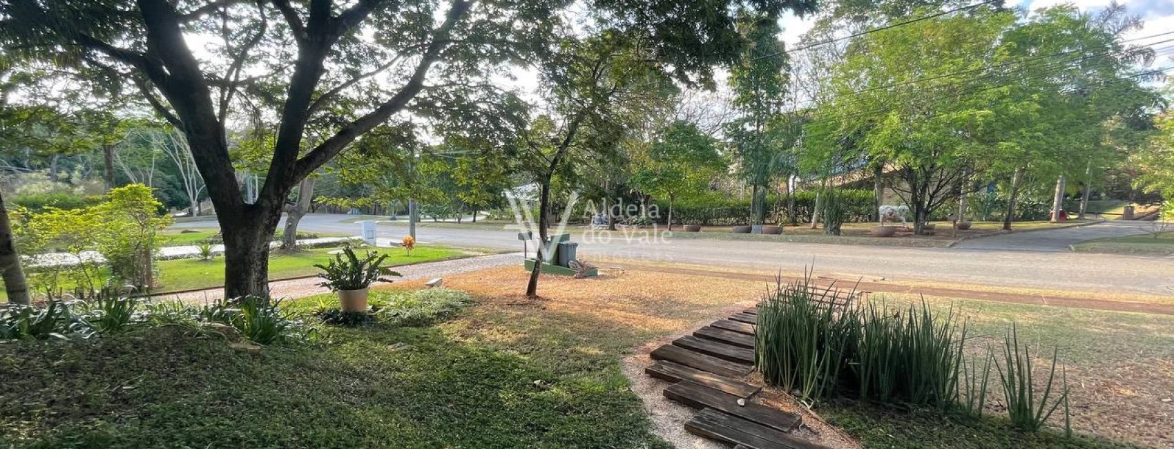 photo_4922840903236824085_y (1)