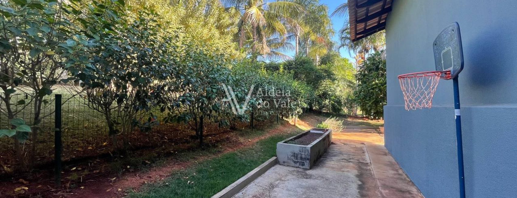 photo_4922840903236824089_y (1)