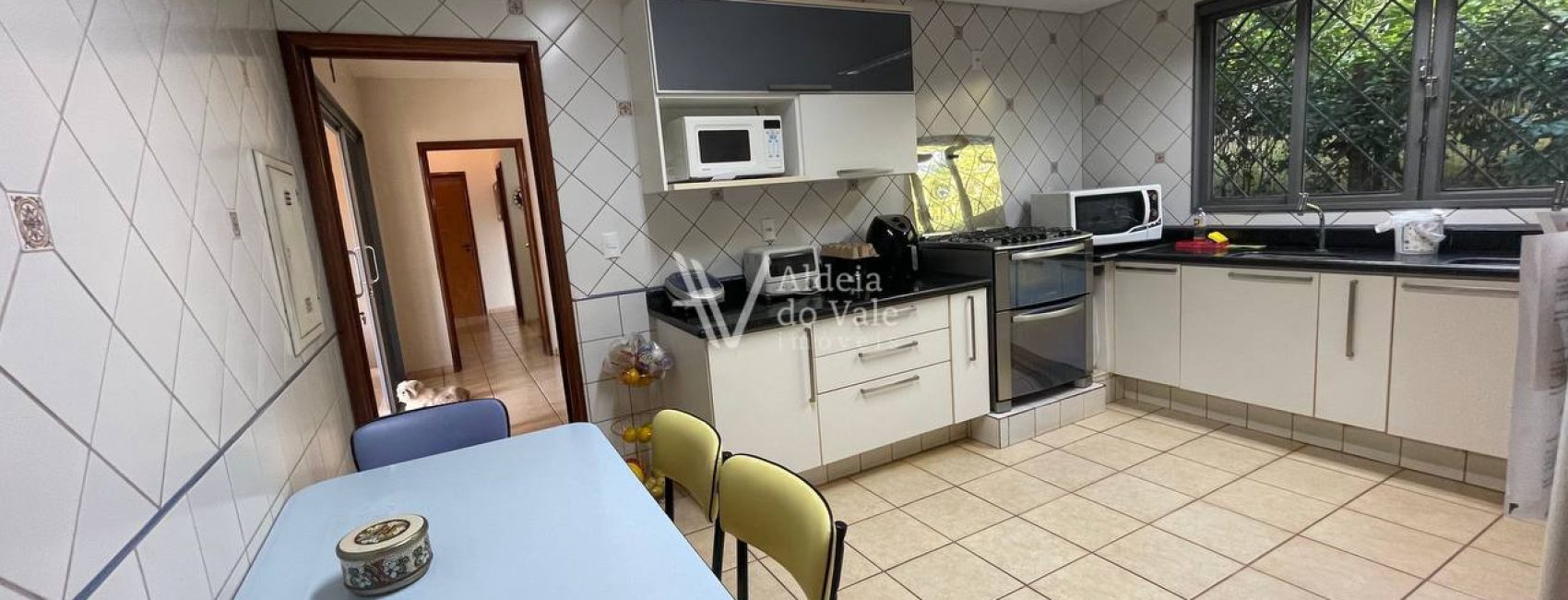 photo_4924704704294923394_y