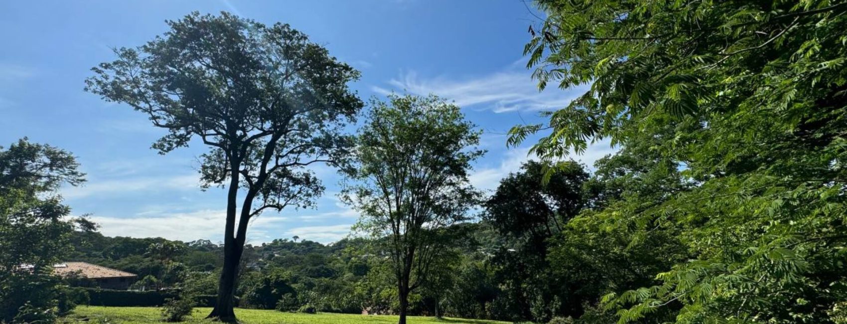 photo_4983627132995481200_y-1-1-1920x822