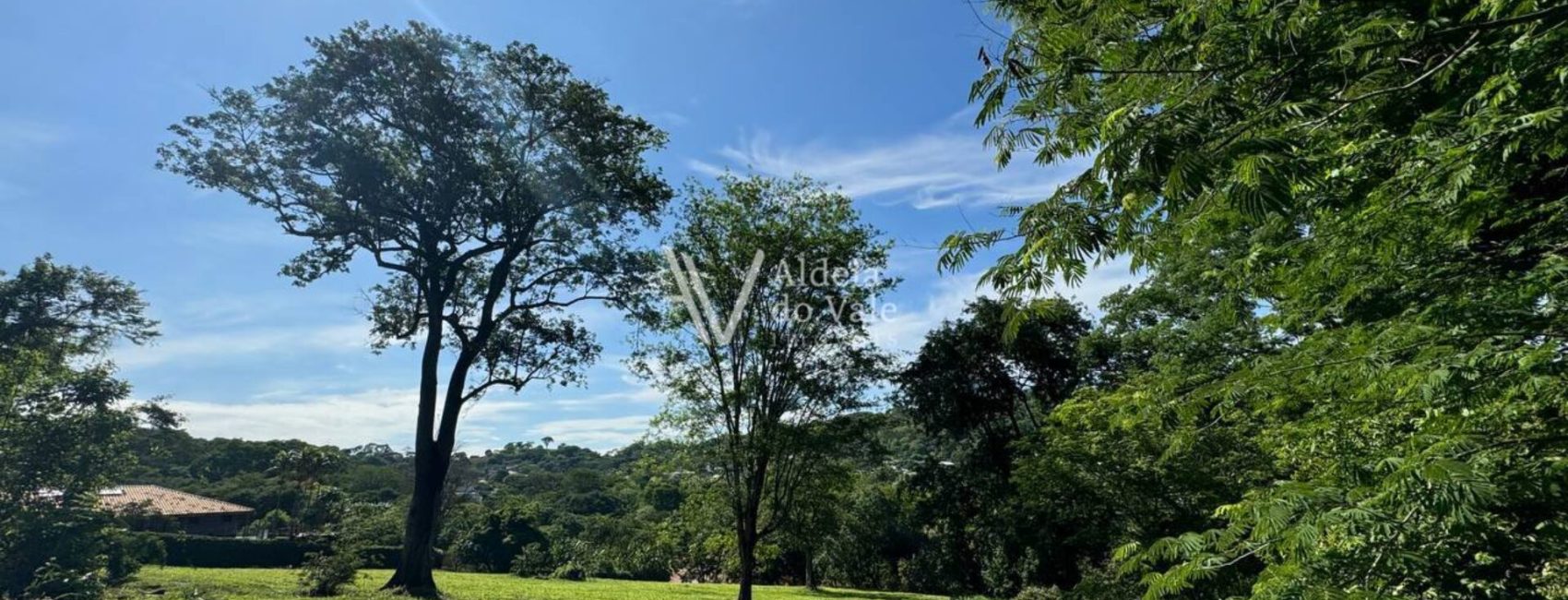 photo_4983627132995481200_y-1920x822