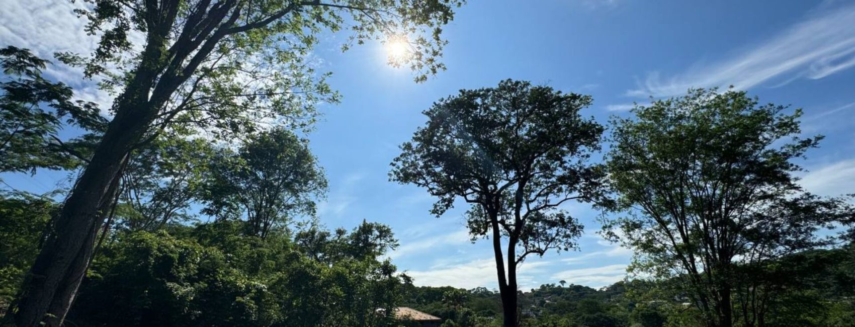 photo_4983627132995481201_y-1-1920x822