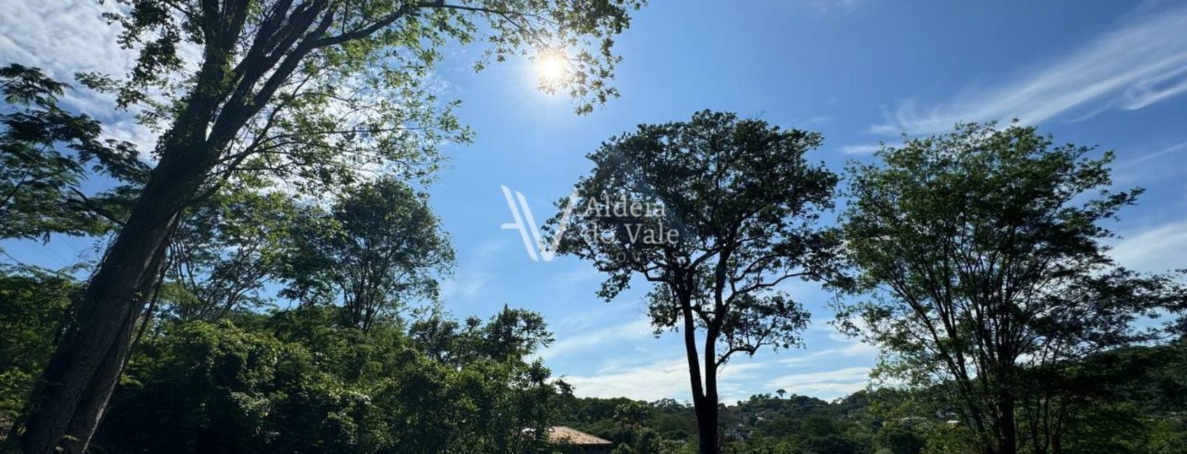 photo_4983627132995481201_y-1920x822