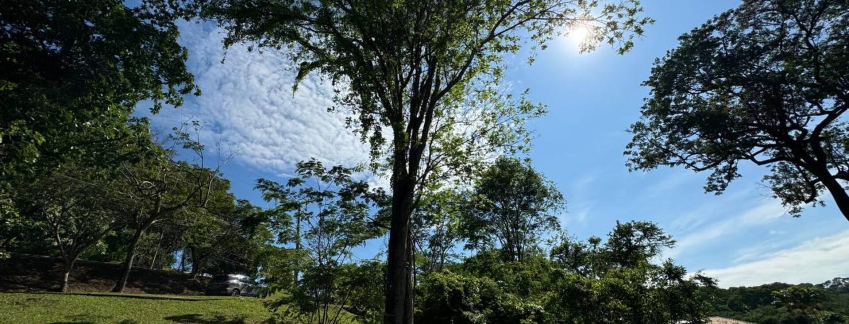 photo_4983627132995481202_y-1-1-1920x822