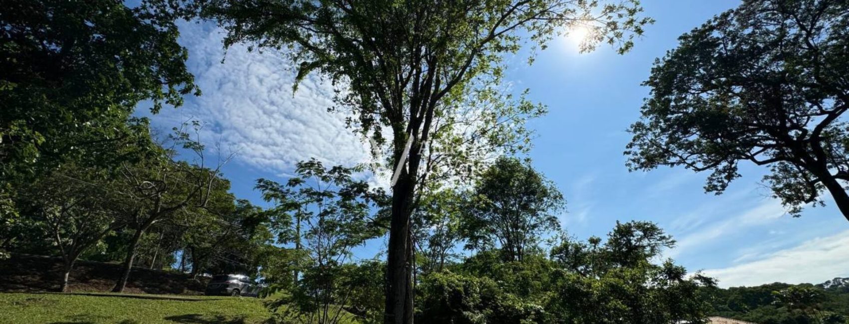 photo_4983627132995481202_y-1920x822