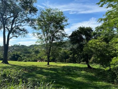 photo_4983627132995481203_y-1-1920x822