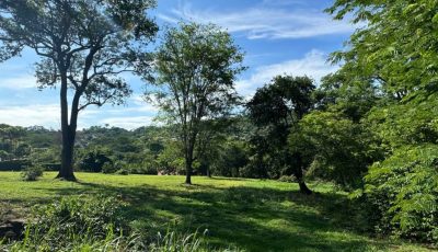 photo_4983627132995481203_y-1920x822