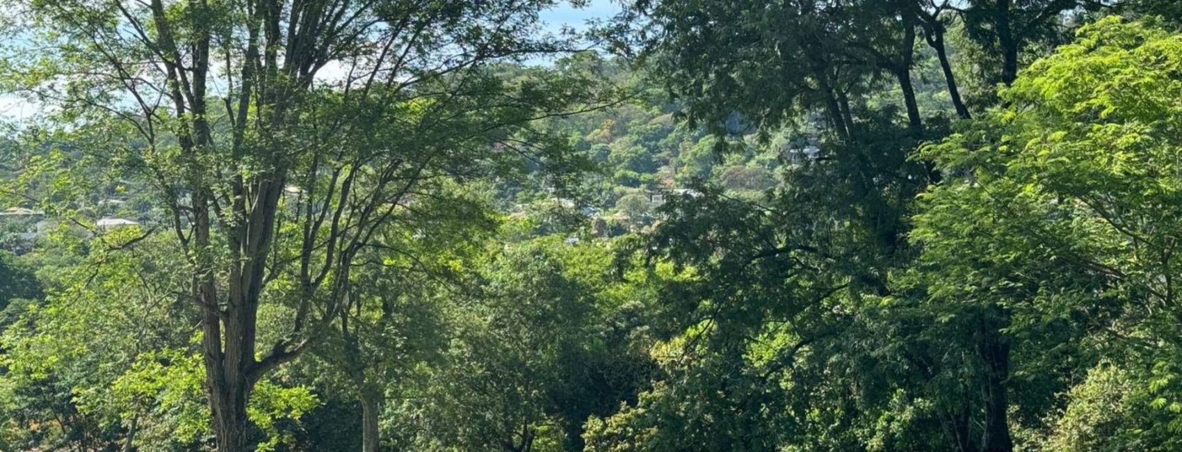 photo_4983627132995481204_y-1-1920x822