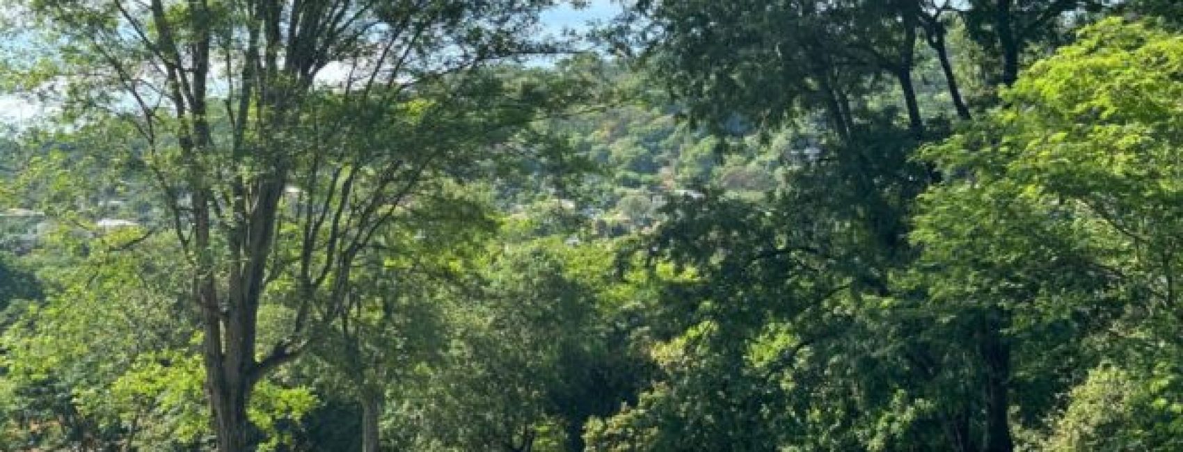 photo_4983627132995481204_y-1-640x360