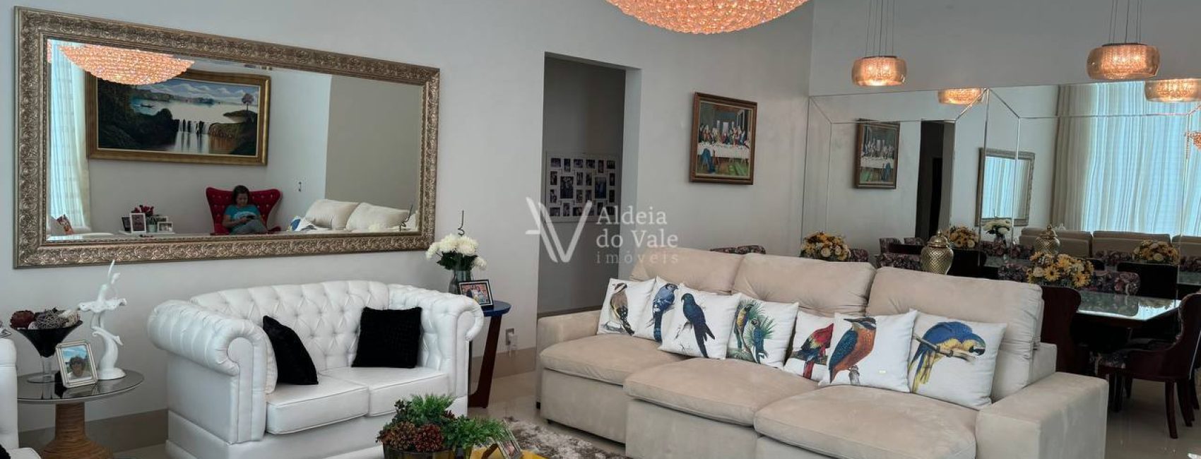 photo_5017559711096089679_y