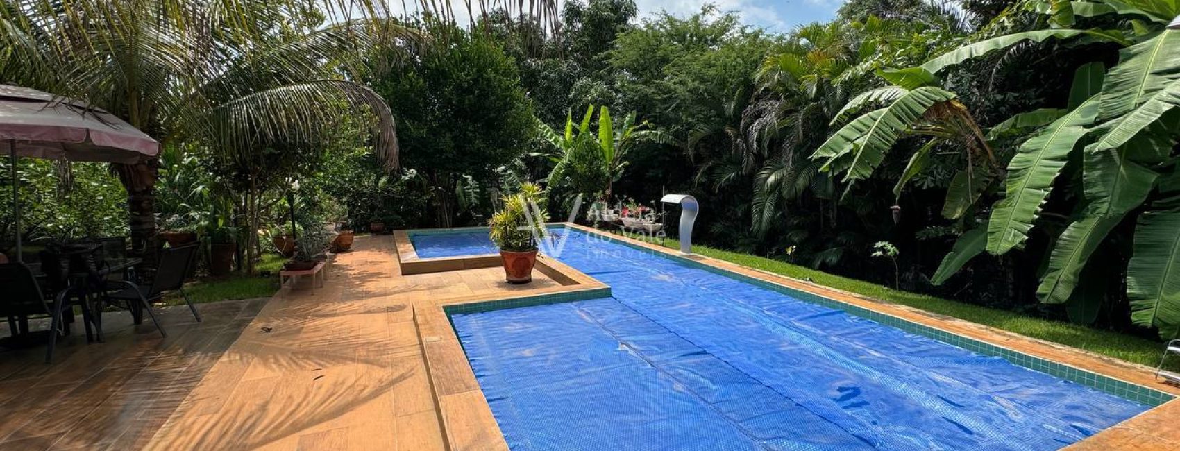 photo_5017559711096089716_y