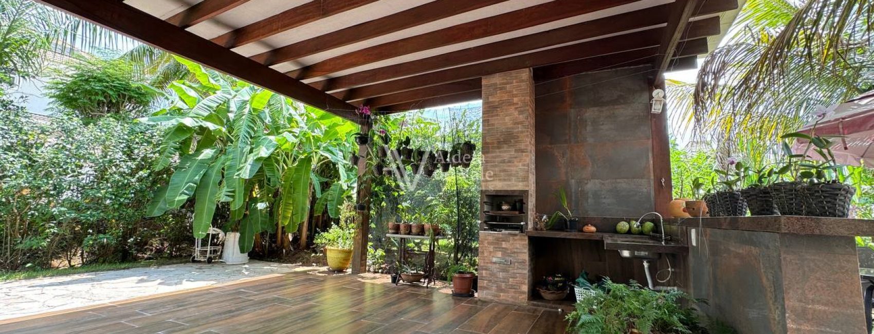 photo_5017559711096089720_y