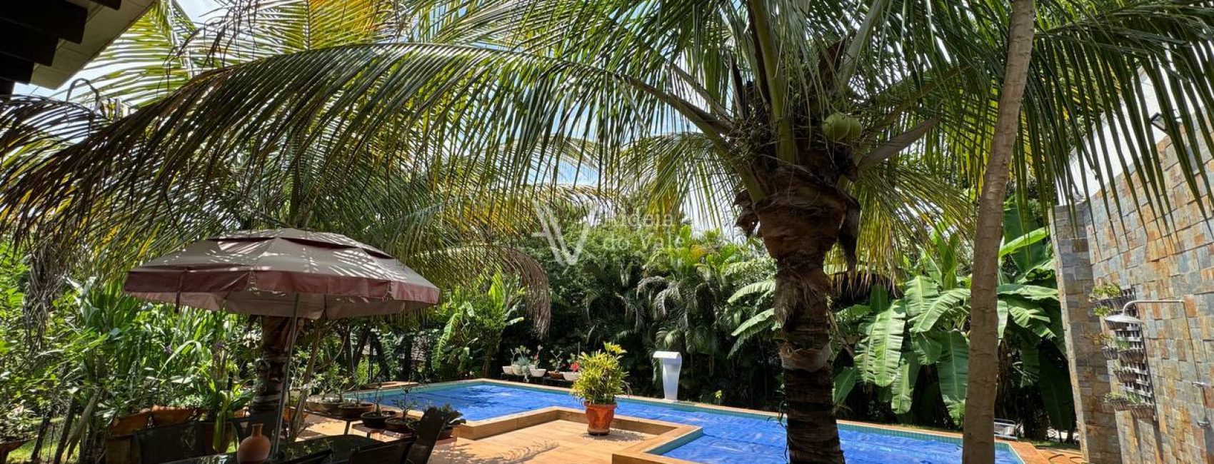 photo_5017559711096089724_y