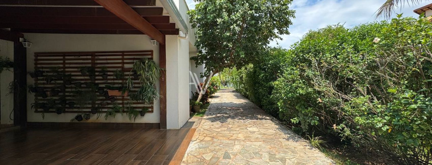 photo_5017559711096089727_y