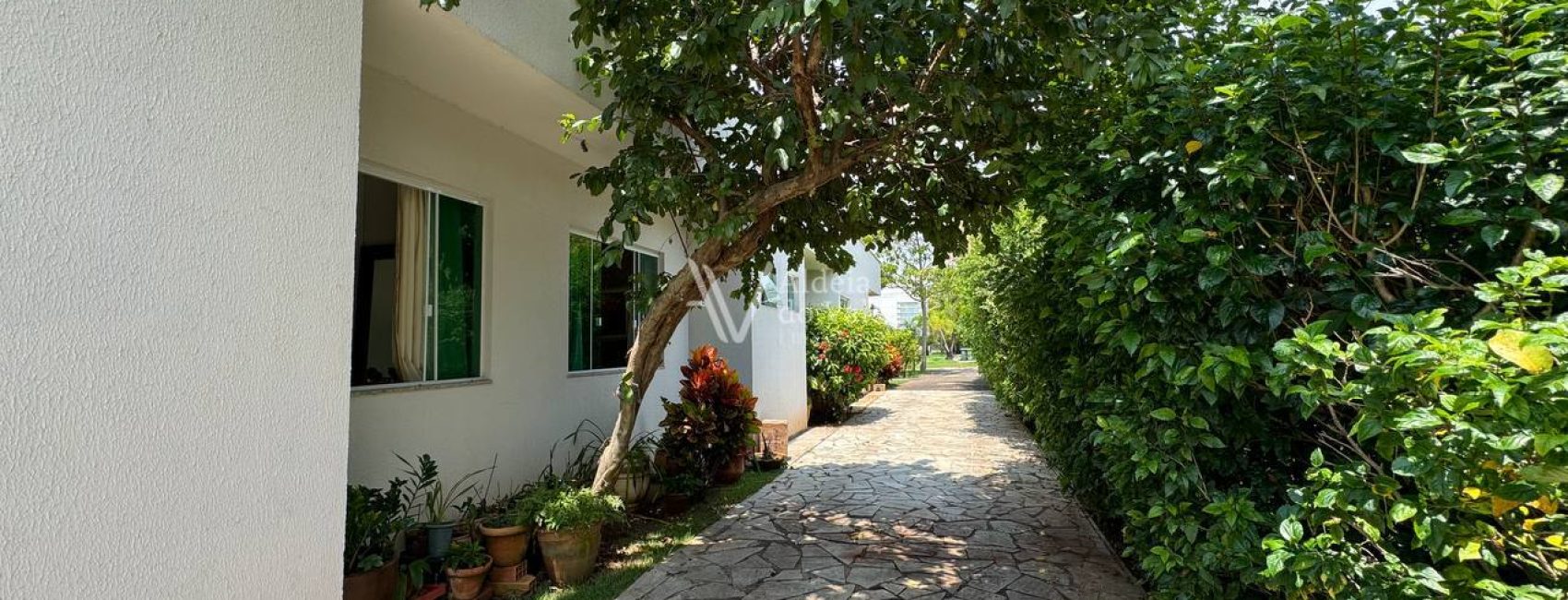 photo_5017559711096089729_y