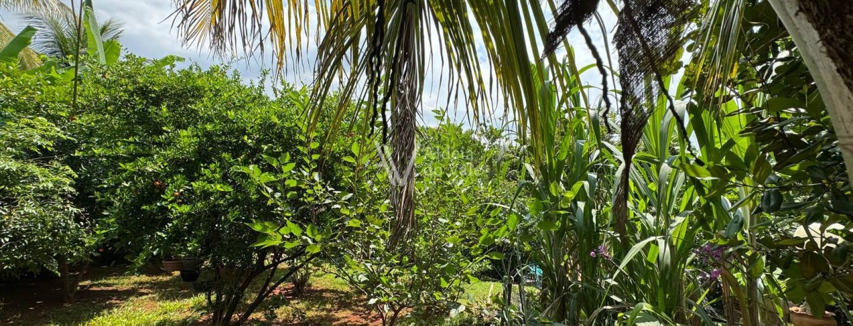 photo_5017559711096089737_y