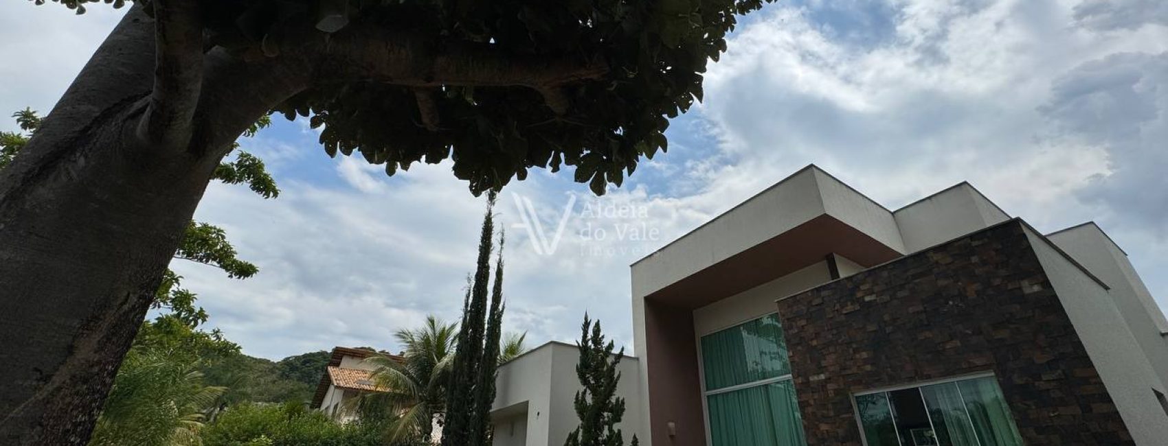 photo_5017559711096089753_y