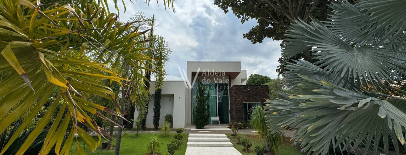 photo_5017559711096089755_y