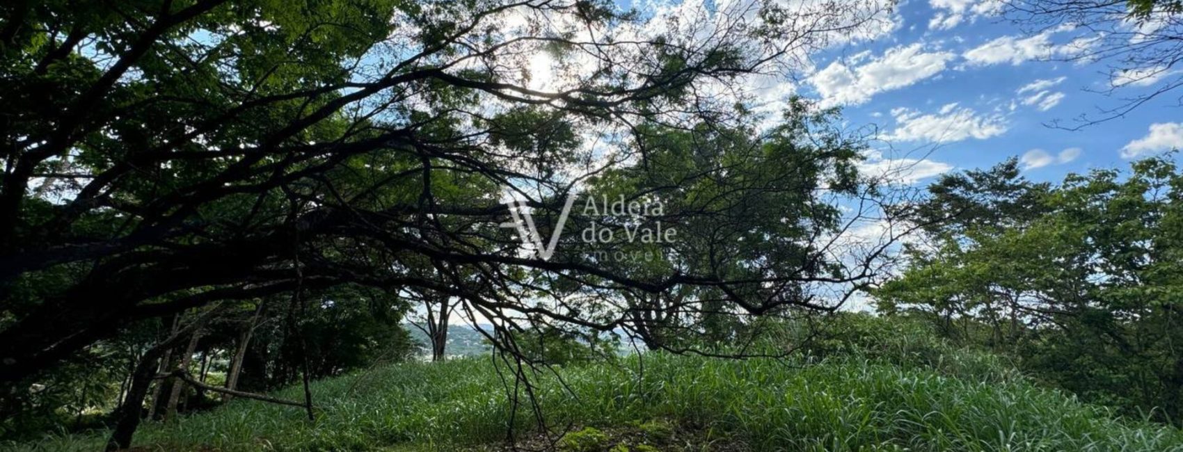 photo_5033064345466154437_y-1920x822